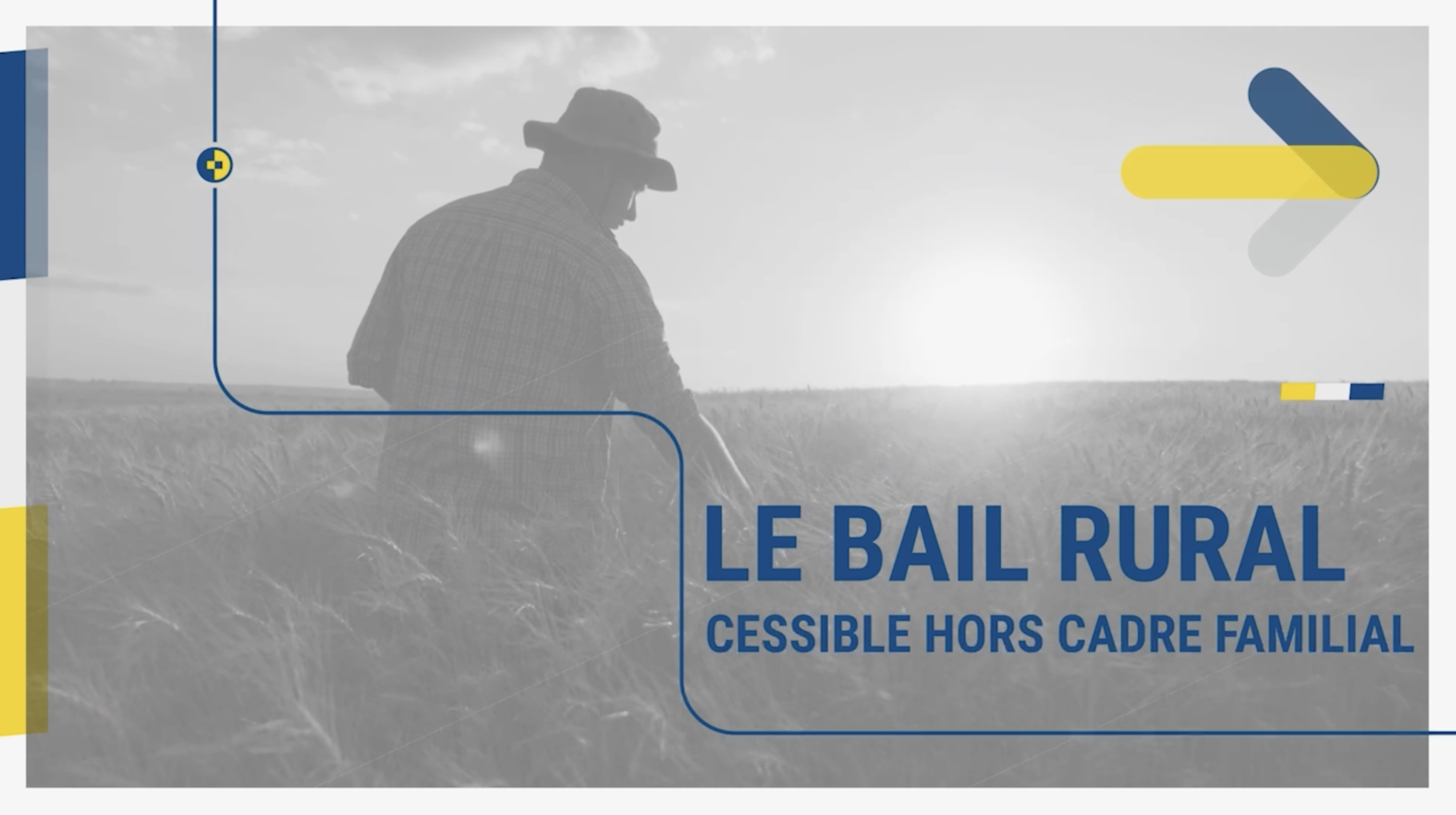 écrans dynamiques office notarial vidéo pédagogique